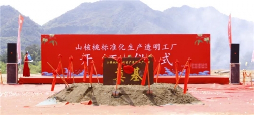 【一线投影】临安区年产10000吨山核桃标准化生产透明工厂项目开工！